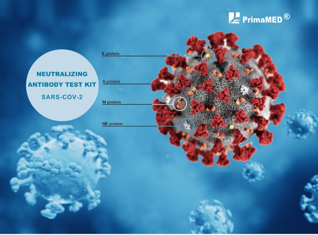 Kit de teste de anticorpos neutralizantes SARS-CoV-2