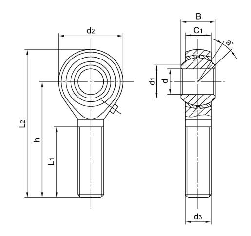 Rolamentos de extremidade de haste de aço carbono POS6