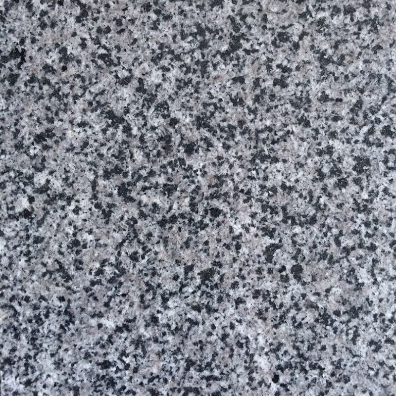 Lajes de granito cinza Geórgia G641 da China
