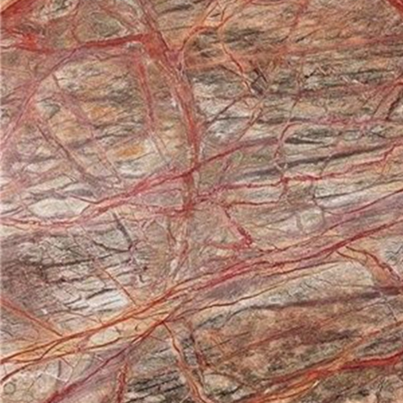 Laje de mármore marrom-vermelho da floresta tropical da Índia
